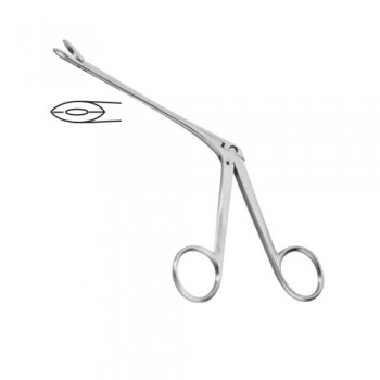 Weil-Blakesley Nasal Cutting Forcep Straight - Fig. 2 Stainless Steel, 12 cm - 4 3/4" Bite Size 3.5 mm